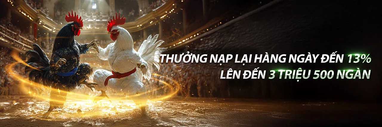 Hình ảnh nền blog Roobet với ưu đãi nạp tiền Roobet