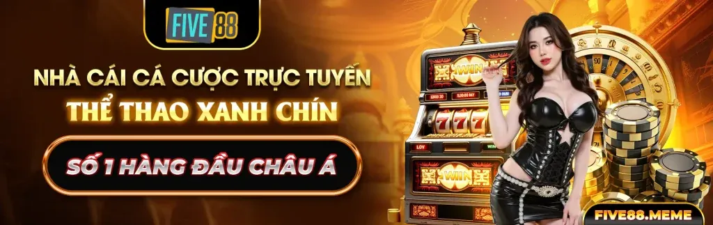 Tổng quan các phương thức thanh toán Roobet