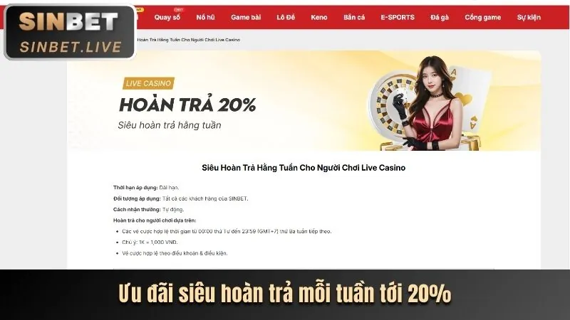 Mẹo tận dụng tiền thưởng Roobet